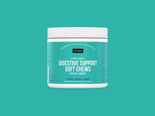 Natural Rapport - Digestive Support Soft Chews